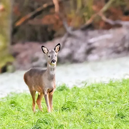Eden Retreat Crosby (Cumbria)